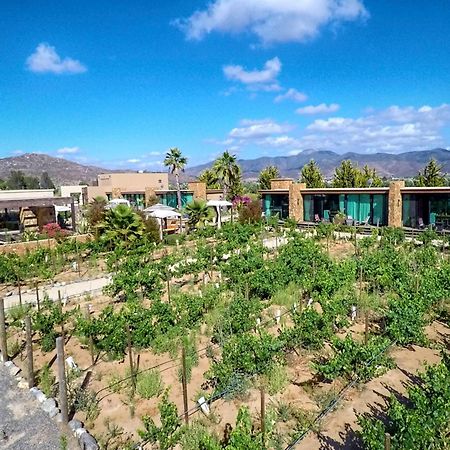 Entre Vinedos By Hotel Boutique Valle De Guadalupe Luaran gambar