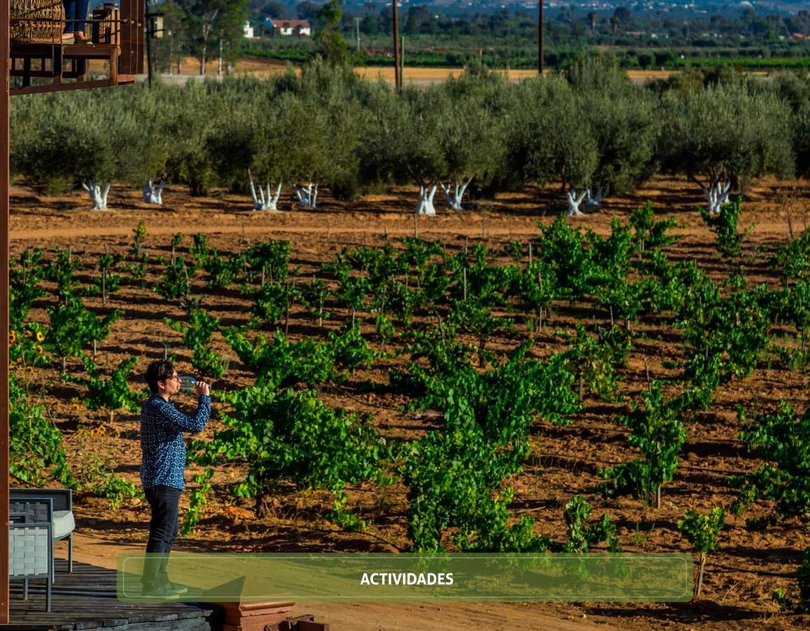Entre Vinedos By Hotel Boutique Valle De Guadalupe Luaran gambar