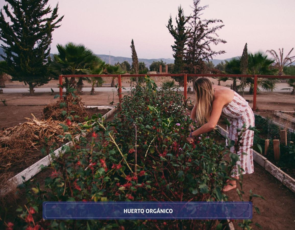 Entre Vinedos By Hotel Boutique Valle De Guadalupe Luaran gambar