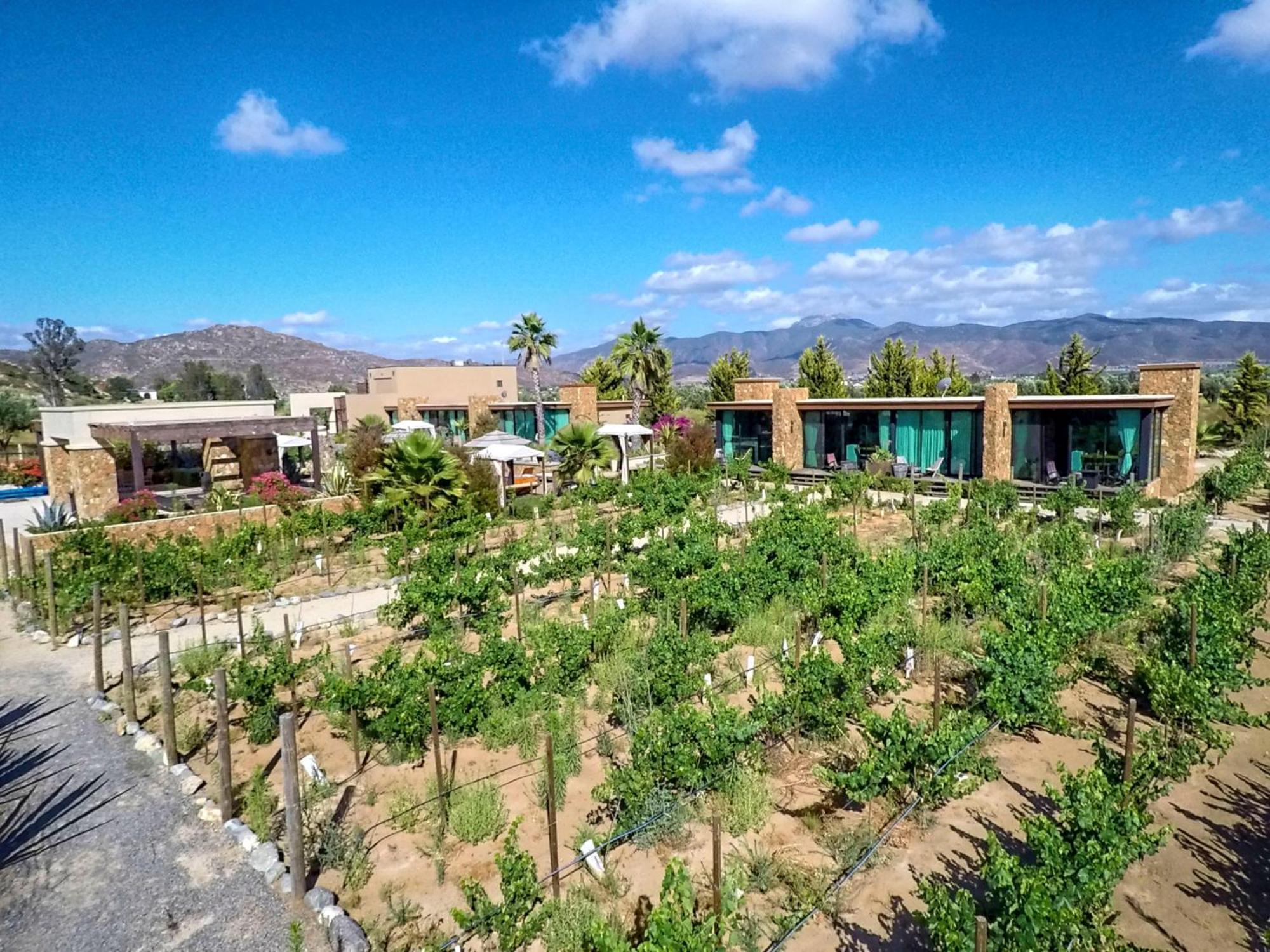 Entre Vinedos By Hotel Boutique Valle De Guadalupe Luaran gambar